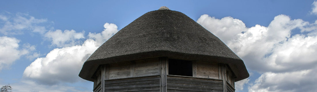 thatching